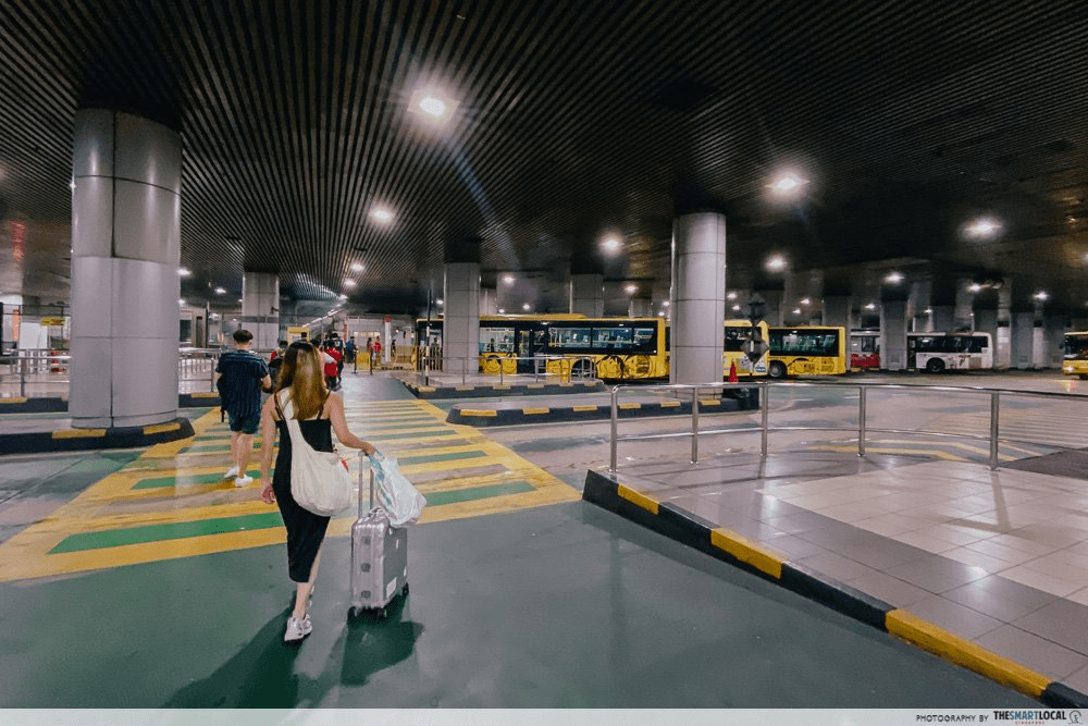 girl with luggage