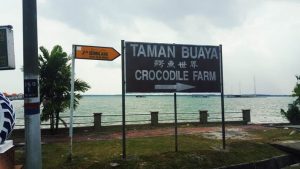 Teluk Sengat Crocodile Farm