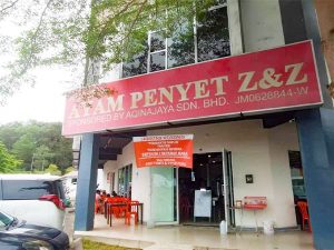 Ayam Penyet Z&Z Desaru