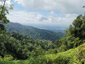 Gunung Pulai, Johor