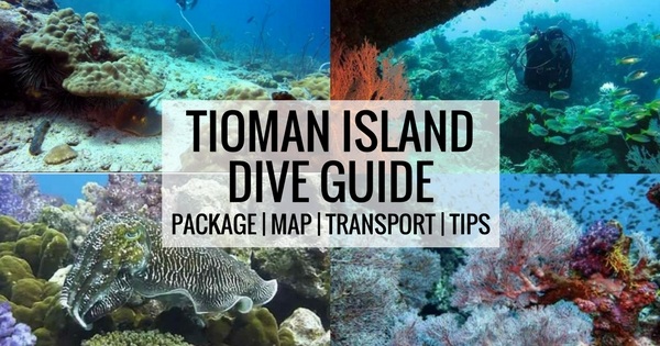 Tioman Diving Complete Guide