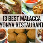 Nyonya Food In Malacca